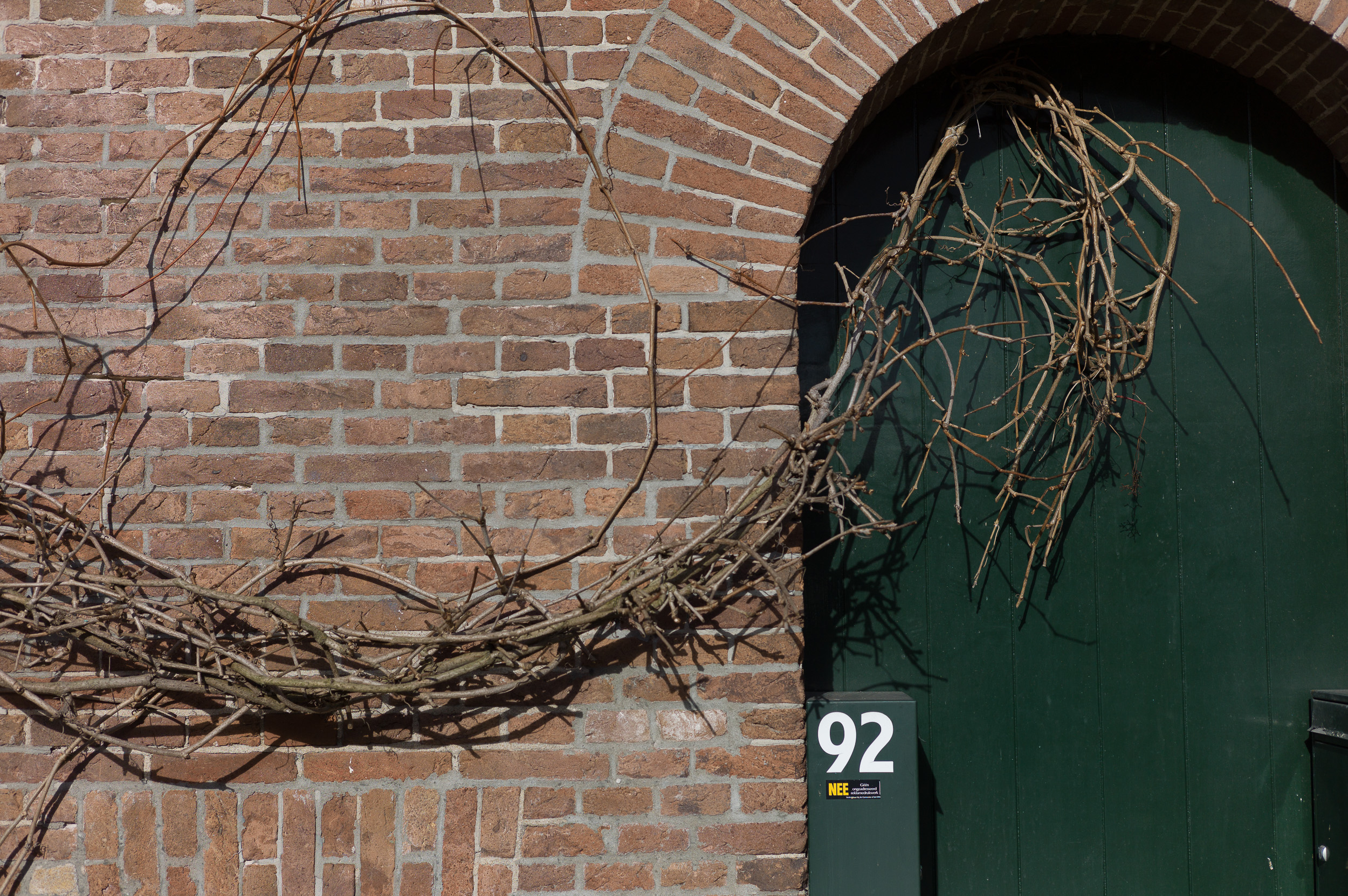 Een weing gebruikte groene deur met planten ervoor.