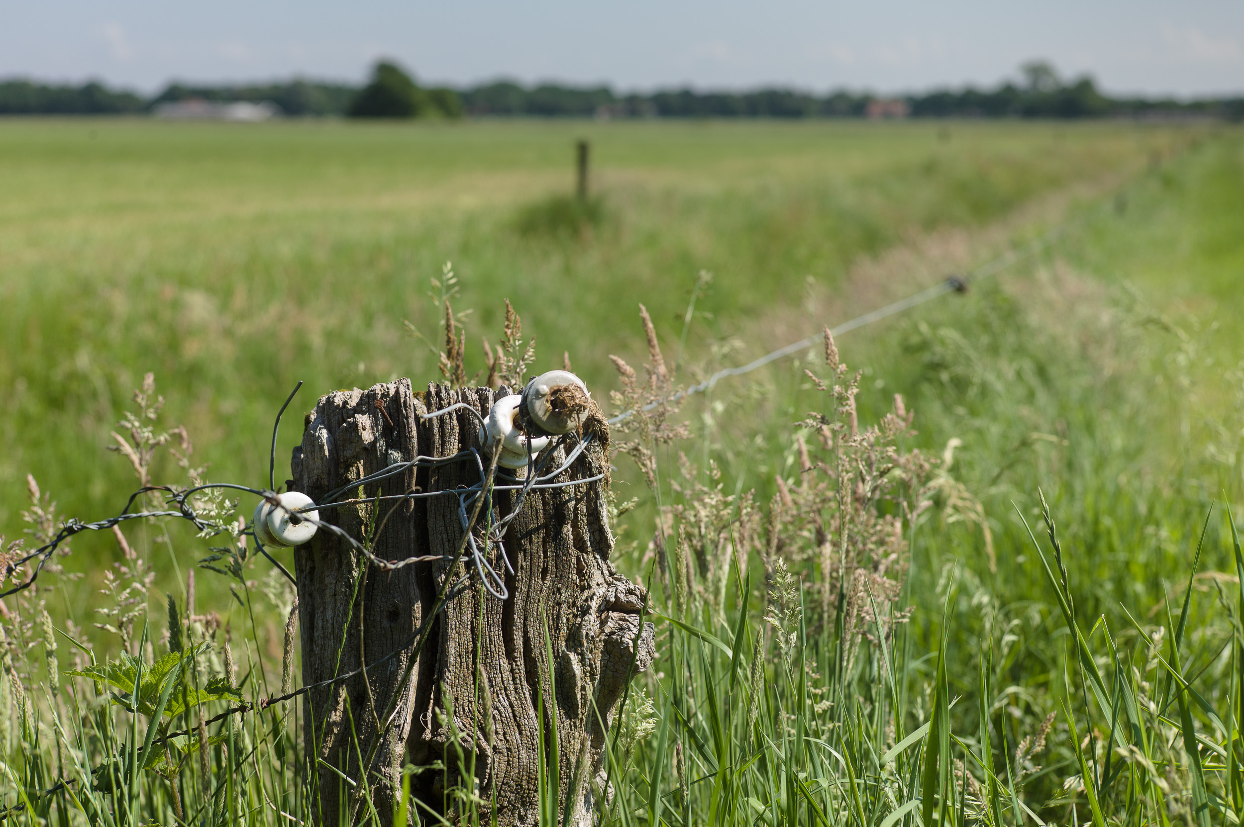Een paal waarop een paar oude isolatoren zijn bevestigd