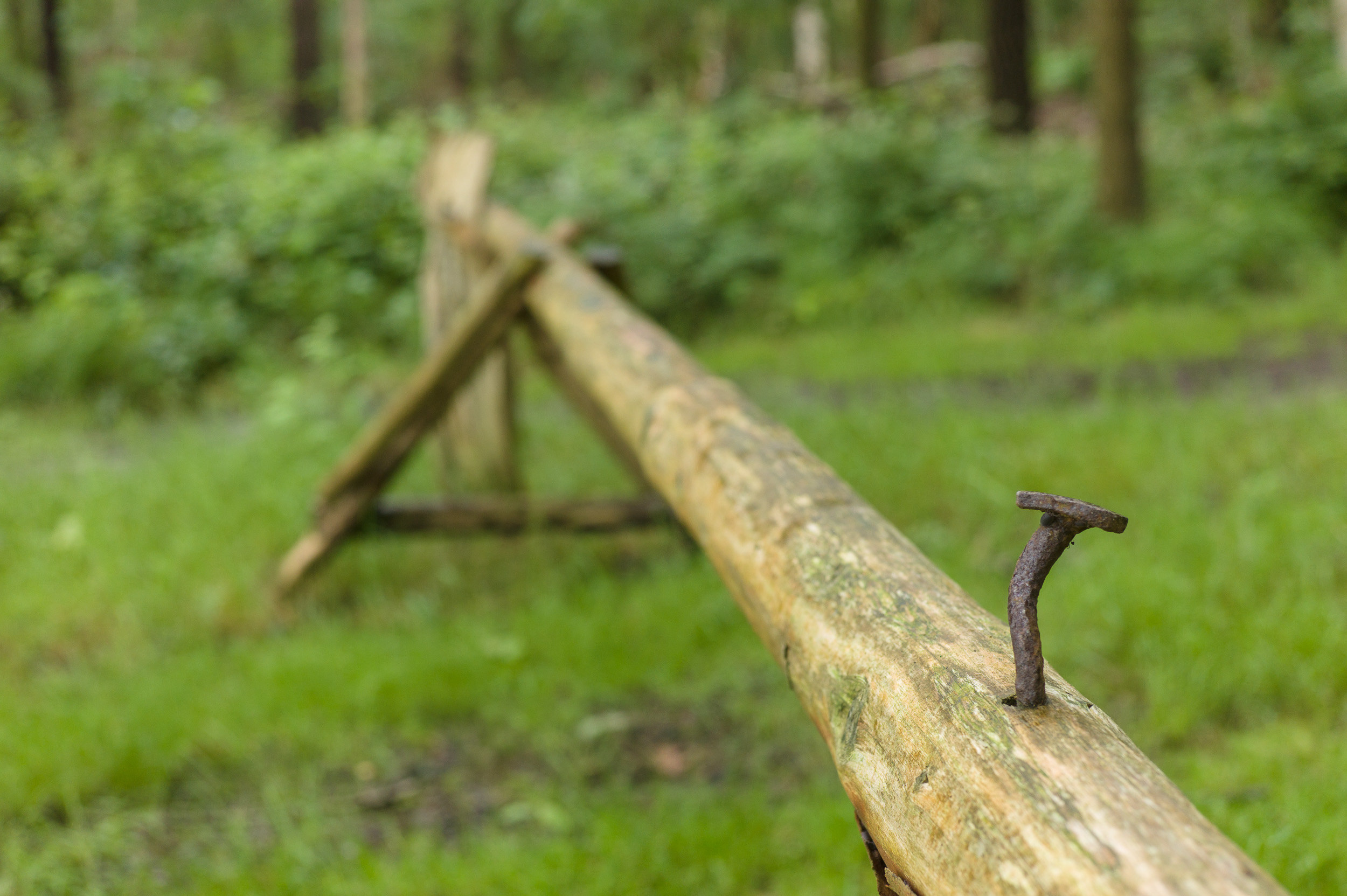 Een houten hek in bos met een heel grote ijzeren spijker die er uit steekt.