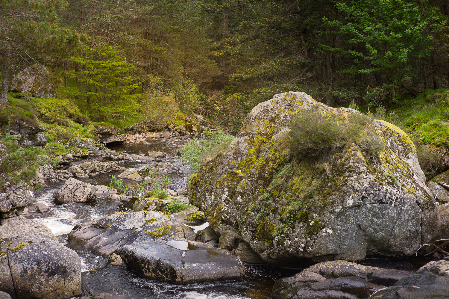 Een groot rotsblok in een kleine rivier.
